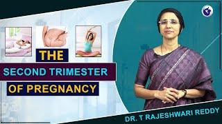 Second Trimester Pregnancy | Dr. Rajeshwari Reddy Explains