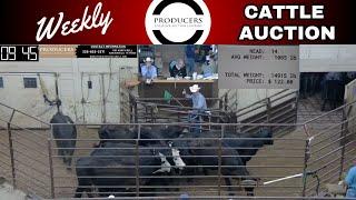 6/20/2024 - Producers Livestock Auction Company - Cattle Auction