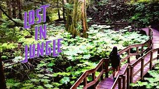 Hidden Gem Ancient Forest Provincial Park Prince George | British Columbia | Indian Vlogger