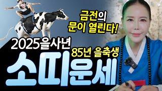 금전의 문이 열린다~! X월은 문이 더 열려~ 2025년 85년 을축생 소띠운세! [월화신당]