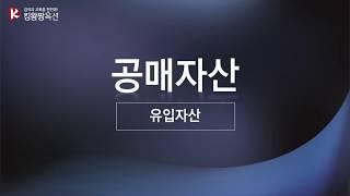 기안옥션 공매기초강의 - 유입자산