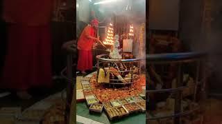 Budheshwar Mandir Arti…#youtubeshorts