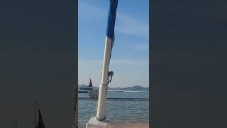 요트 생존기 시즌1 1화