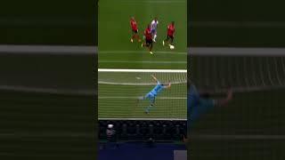 Marco Richter crazy goal against Leverkusen #shorts