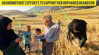 nomadic grandmother is forced to work in the nomadic farm to support nomadic children