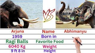 Comparison: Arjuna Elephant versus Abhimanyu Elephant | Dasara Elephants Arjuna & Abhimanyu