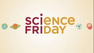 Science Friday: Microwaves, Sea Spray, THC, Sea Lion Pups