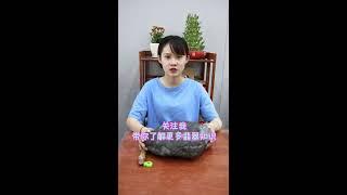 翡翠原石解密丨教你如何通过外表判断内部翡翠丨翡翠原石的挑选技巧