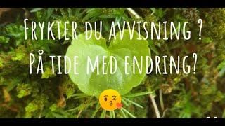 Sliter du med frykt for avvisning ? På tide med en endring?#selvutvikling #meditasjon