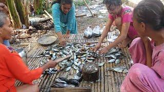 IKAN SEGAR KALEDUPA SELATAN WAKATOBI || EDISI BELI BAKAR SEDERHANA || Fresh Fish in Wakatobi