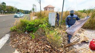 CLEANING A 500m LONG SIDEWALK of overgrown weeds and the results were surprising to the people.