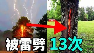 一口气看完10个不可思议的一幕  | 世界之最 | 奇聞 | 叉雞 | 好奇sir