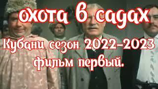 Охота в садах Кубани.Сезон 2022-2023 Заяц,Кабан,лиса.