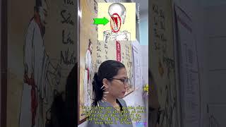 Bài tập Giãn cơ gối đầu #keogianco #baitapgianco #keogiancogiamdau #stretching #stretchingexercises