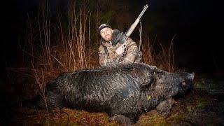 SAVAGES - NIGHT HUNTING HOGS AND PREDATORS IN GEORGIA