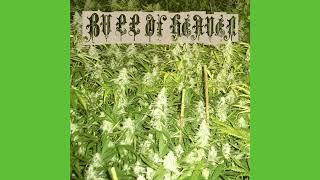 Bull of Heaven - 001: Weed Problem (2008 drone album) Public Domain Media