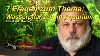 7 Fragen zum Thema Pflanzen im Aquarium. Die Welt der Wasserpflanzen.