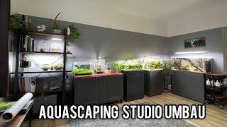 Aquascaping Studio Bau | Aquarium Gallery | Teil 1