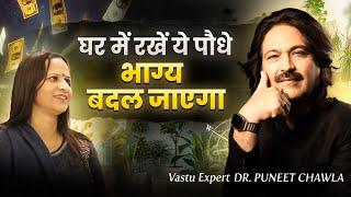 घर में रखें ये पौधे, भाग्य बदल जाएगा! | Vastu For Plant & Tree | Dr Puneet Chawla