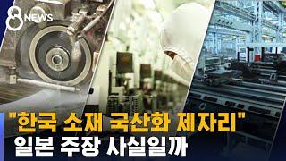 "반도체 소재 국산화 제자리" 사실은 / SBS