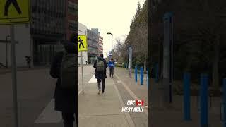 Walking Along the West Mall at #UBC , #metrovancouver #vancouver #shorts