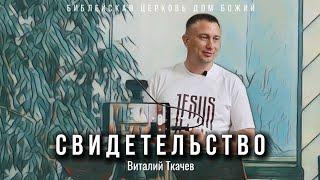 Свидетельство | Виталий Ткачев