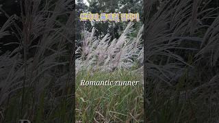 포항 천마지 둘레길 달리기/runwithme/romanticrunner/낭만러너/동네달리기/러닝코스