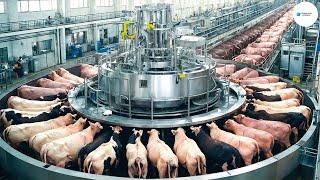 Cómo La Moderna Fábrica De Procesamiento De Carne Vacuna - Una Vaca Millonaria | Agricultura