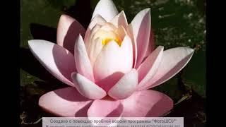 Snatam Kaur - So Mai Visar Na Jaa-ee