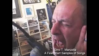 Dino Manzella - A Few Short Samples of Songs