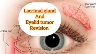 Lacrimal gland revision part 3, and eyelid tumors #eyelectures #opthalmology #jatoi