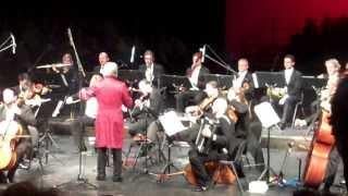 Johann Strauss Ensemble 'Strauss Forever' Bucuresti 19.12.2012 (invitat: Adrian Naidin)