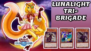 "LUNALIGHT TRI-BRIGADE" DECK DUEL LINKS RANKED DUEL & DECKLIST [YU-GI-OH! DUEL LINKS]