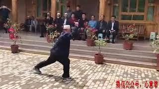 河南心意六合拳名家马明龙先生演练的心意拳