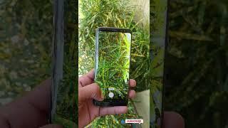 #samsung s8 camera,,natural ^review"2023