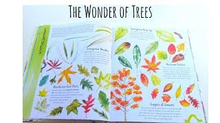 The Wonder of Trees by Nicola Davies & Lorna Scobie: Flip Through Review