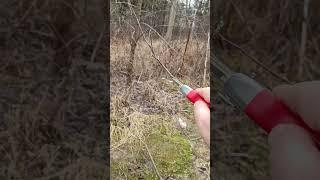 ОБРЕЗКА ЯБЛОНИ ВЕСНОЙ #обрезка #сад #яблоня