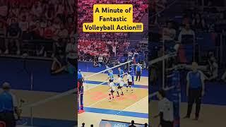 Amazing Volleyball Action | Japan vs Slovenia | VNL Finals 2024 #vnl2024 #vnlfinals #vnl #japan