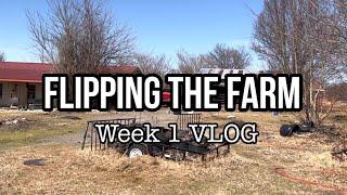 FLIPPING the FARM Week 1 Vlog