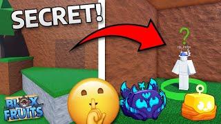 Most secret SHOCKING Facts In Roblox Blox Fruits!