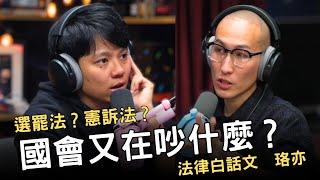 特別集｜這次國會又在吵什麼 ft. 法律白話文珞亦