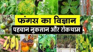 फंगस का विज्ञान | Fungus की पहचान और रोकथाम | Fungus identify & control | Fungus ko kaise roken