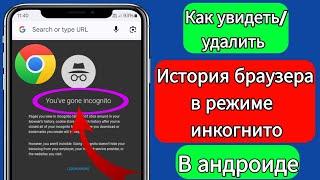 Как посмотреть/удалить историю браузера в режиме инкогнито (100% работает)