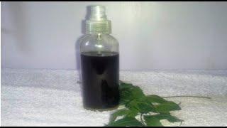 How to make Neem Oil at Home for Hair, Skin, and Acne on the Face