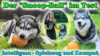 Snoop: Das Hundespielzeug für Schnüffelnasen - tolles unkaputtbares Spielzeug oder langweilig ? 