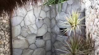 Mick's Place Bingin Bali