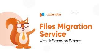 LitExtension Files Migration Service: Working with The Experts