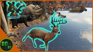 Hunting Every Animal From One Tree Stand in The New England Mountains! Call Of The Wild