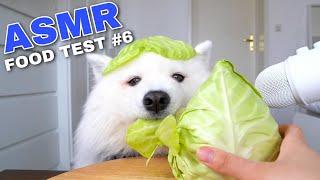 Dog Reviews Different Types of Food | Maya Monch Mission #6