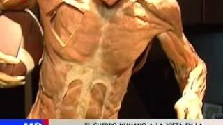 "Bodies", exposición del cuerpo humano con cadáveres